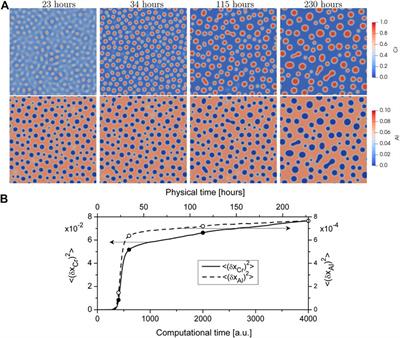 Phase field modeling microstructural evolution of Fe-Cr-Al systems at thermal treatment